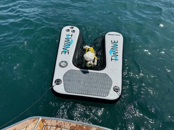 Produktbild Compass Hunderampe für Boot und Pool