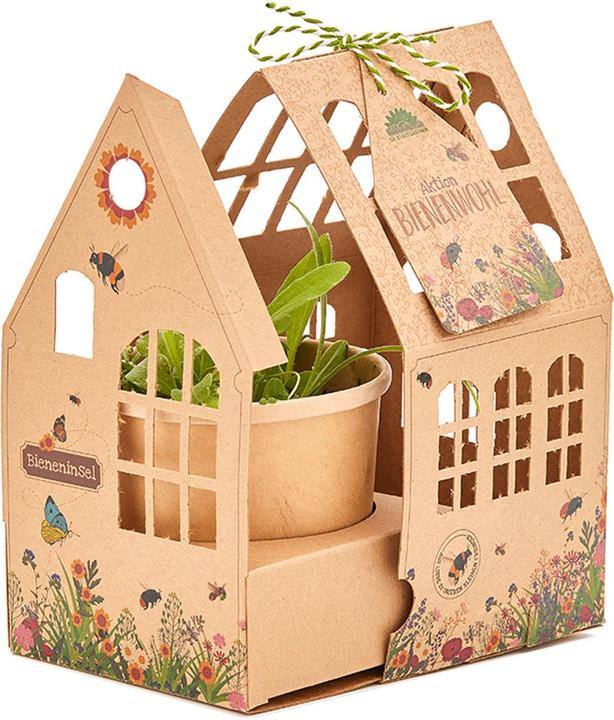 Natura Punto Wildflower greenhouse showers