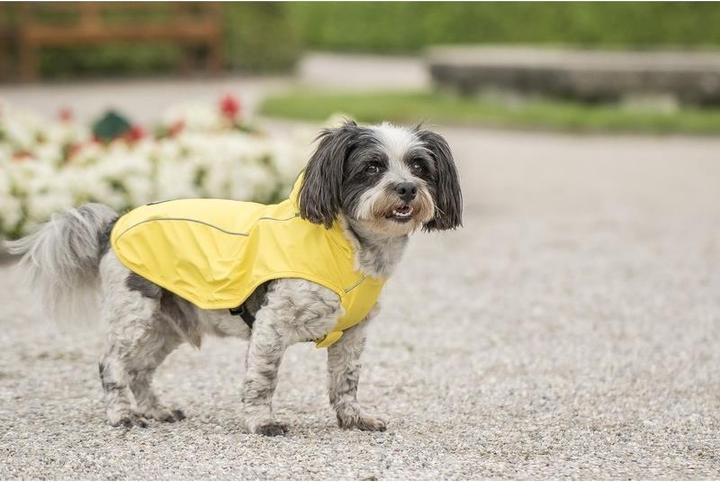 Produktbild Chiara Scotty (XXXXL, Hundemantel)