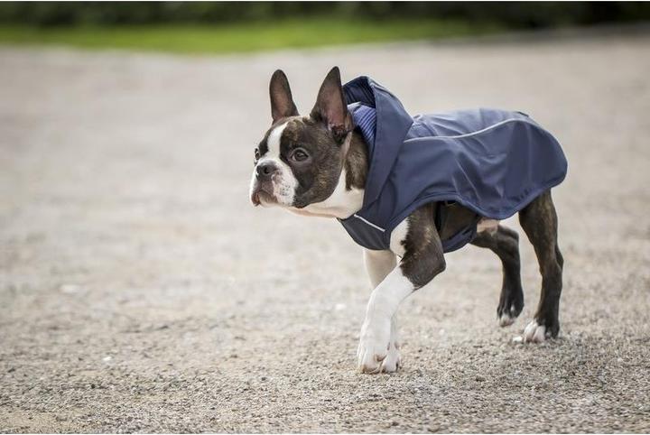 Image du produit Chiara Scotty (M, Manteau pour chien)