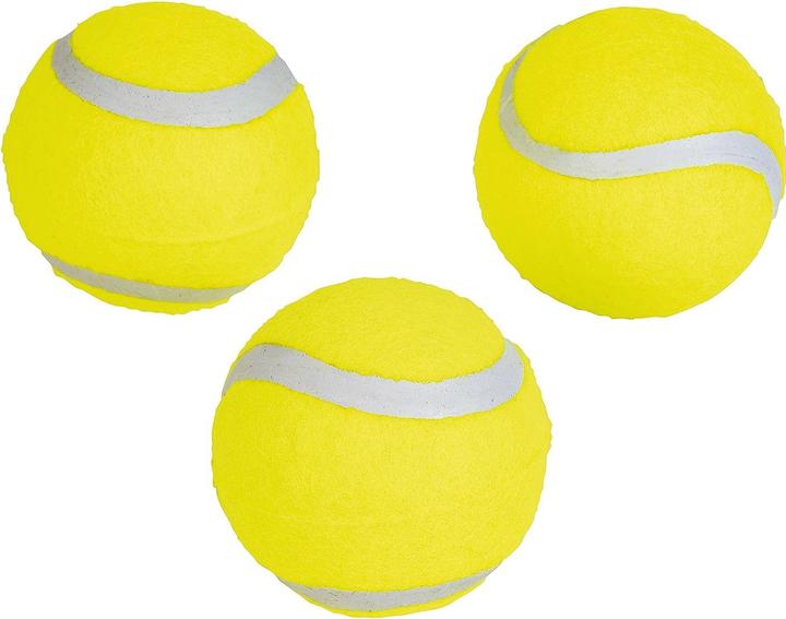 Winfun Tube 3 Tennisbälle Out2play
