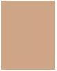 Actual product image Dermacol Collagen Make Up (Fair 2.0)