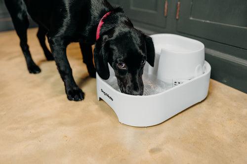 Actual product image Dog Mate Drinking fountain (6 l)