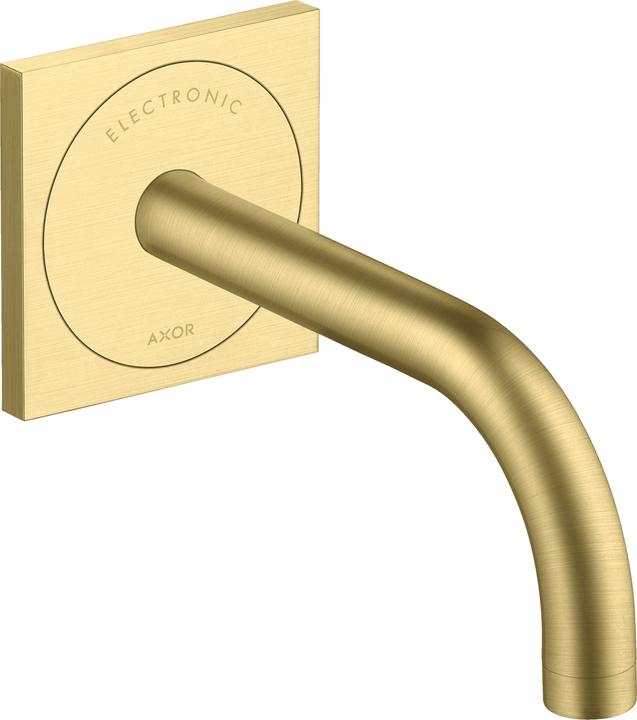 Brushed Brass
