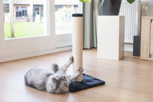Image du produit Beeztees Mobilier pour chats (60 cm, Noir)