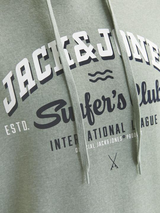 Immagine prodotto Jack & Jones JJELOGO SWEAT HOOD 2 COL 24/25 NOOS (XS)