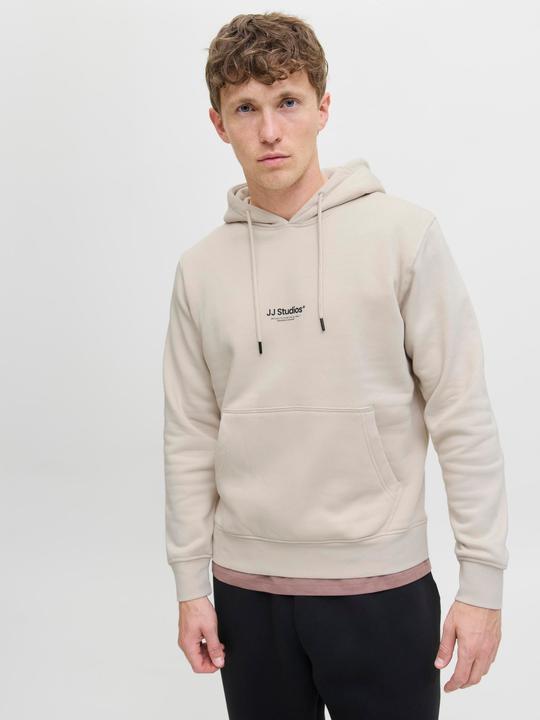 Actual product image Jack & Jones Jjesoho Sweat Hood Noos (L)