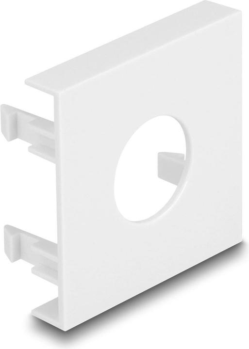 Delock Easy 45 copertura del modulo foro di taglio Ø 19,2 mm, 45 x 45 mm 5 pezzi bianco