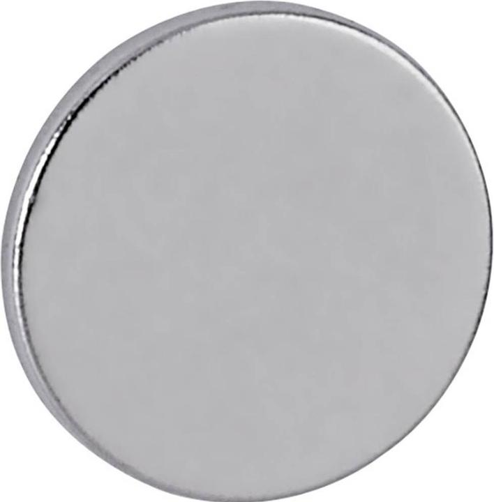Actual product image Maul Neodymium magnet (10 x)