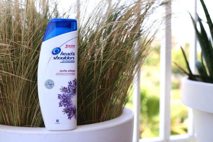 Produktbild Head & Shoulders Sanfte Pflege (300 ml, Flüssiges Shampoo)