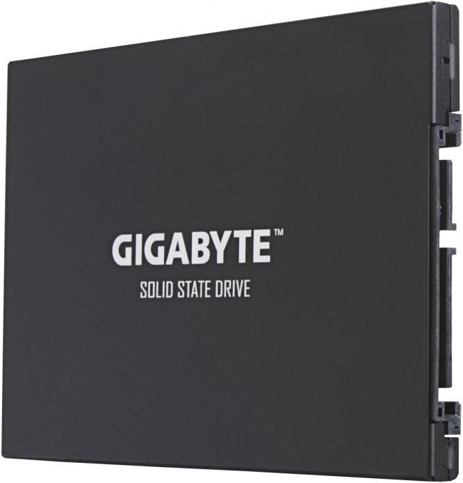 Image du produit Gigabyte GP-GSTFS31120GNTD (120 Go, 2.5")