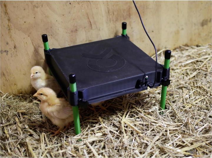 Actual product image Kerbl hot plate