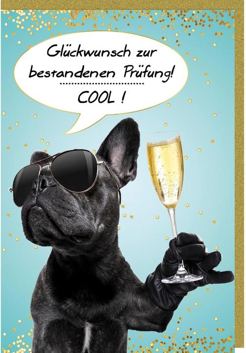 Produktbild Braun + Company Prüfung (6 Stk.)