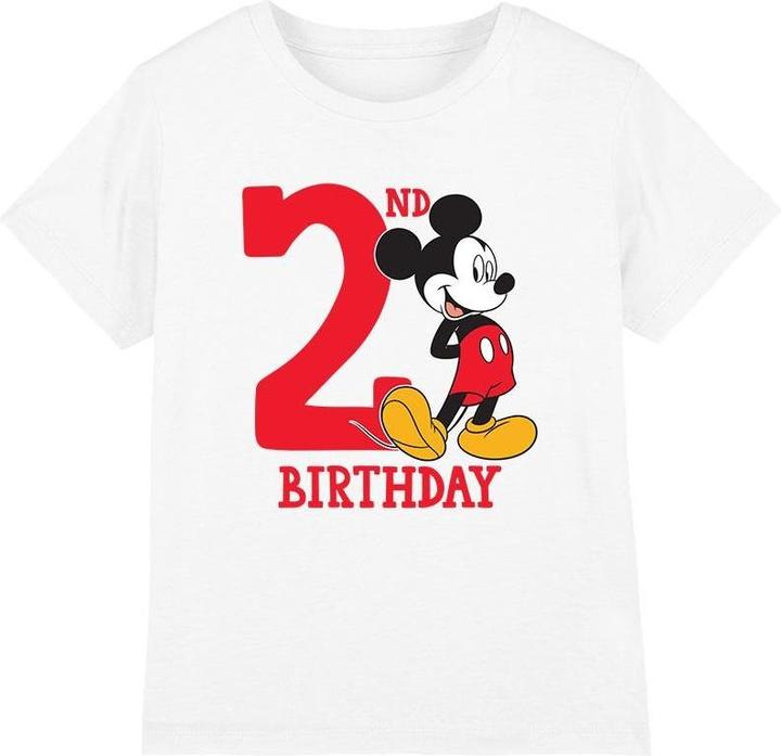Disney TShirt 2 Geburtstag (104)