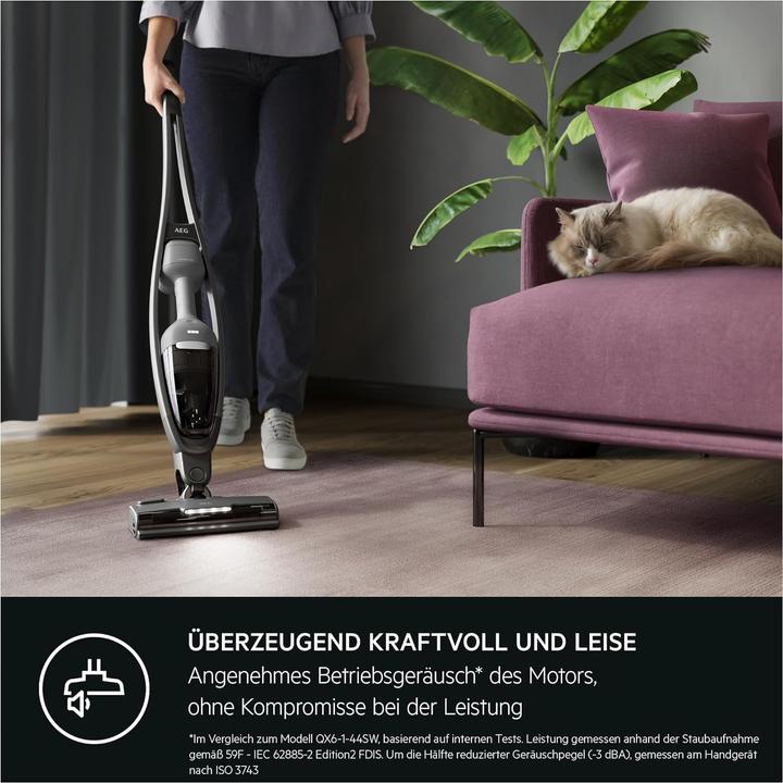 Produktbild AEG Akku-Staubsauger AS62CB25UG 900402076