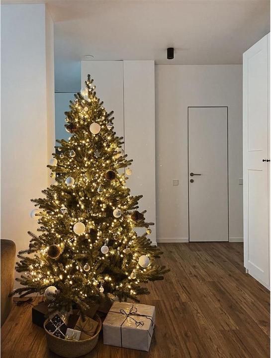 Image du produit Krinner Pied de sapin UltraGrip XL