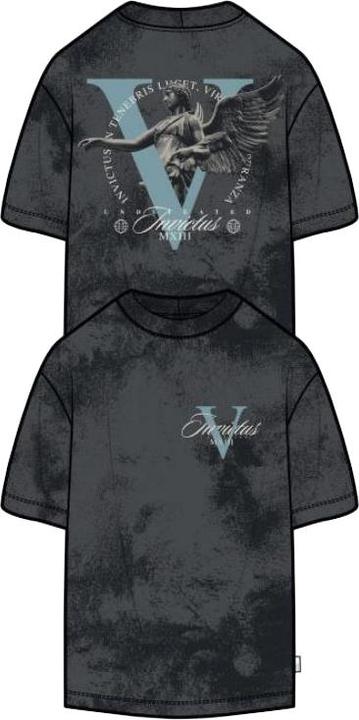 Actual product image Only & Sons Onsray Ovz Washed Ss Tee (M)