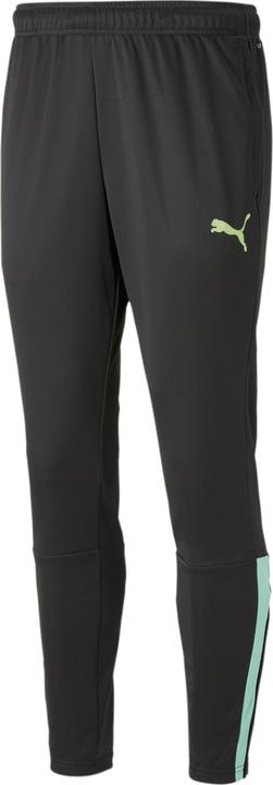 Puma teamLIGA Training Pants (XL)