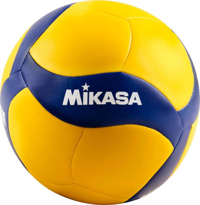 Mikasa V360W (5)