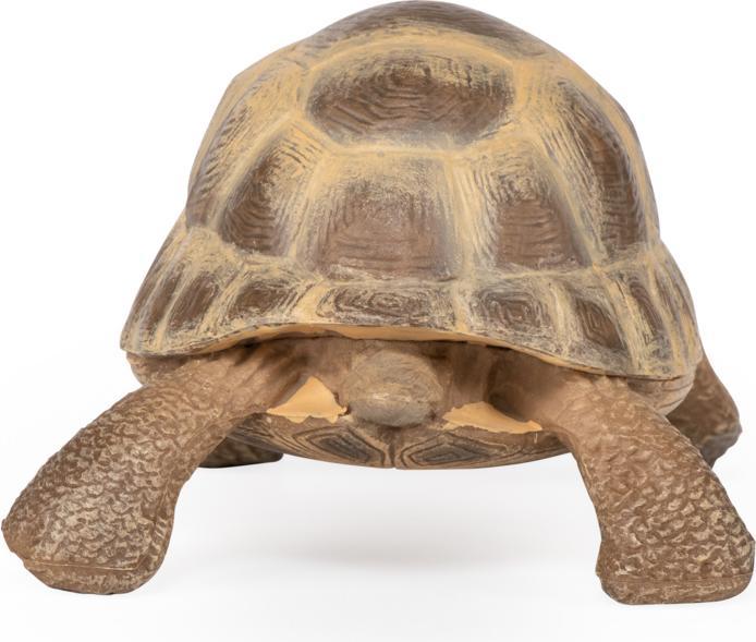 Produktbild Papo Hermanns Schildkröte