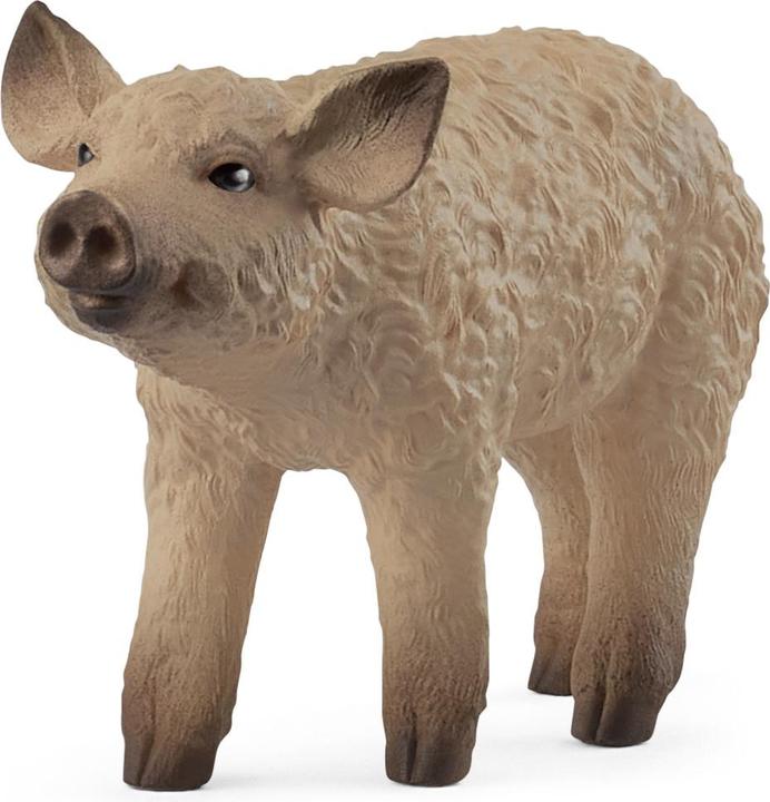 Actual product image Schleich Wool Pig Piglet