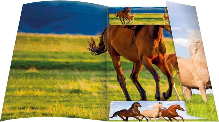 Actual product image Rnk Publisher Drawing Case DIN A3 Horses (A3, 1 x)