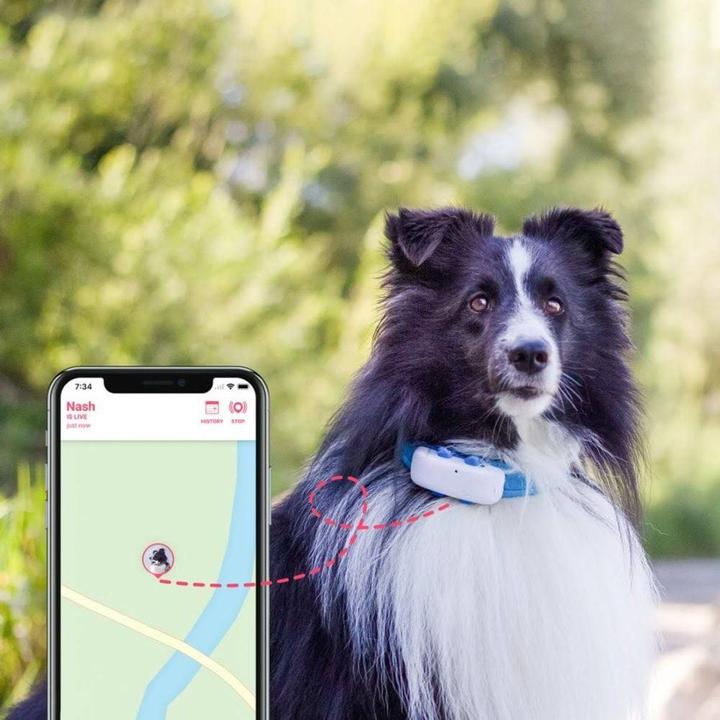 Produktbild Tractive Dog 4 GPS Tracker für Hunde (Katze, Hund, Spazieren)