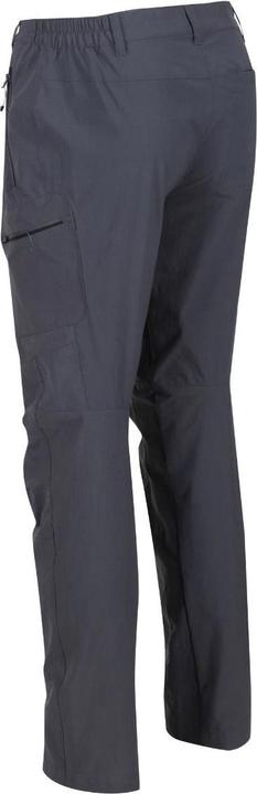Actual product image Regatta M's Highton Trousers (42)