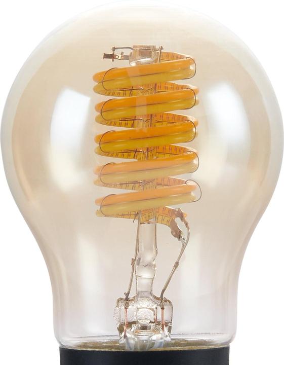 Image du produit EGLO Ampoules LED E14 (E14, 4.90 W, 320 lm, 1 x, G)