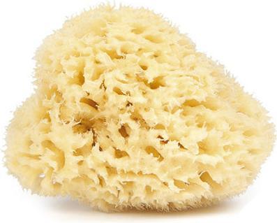 Produktbild Najel Naturschwamm 9-10 cm