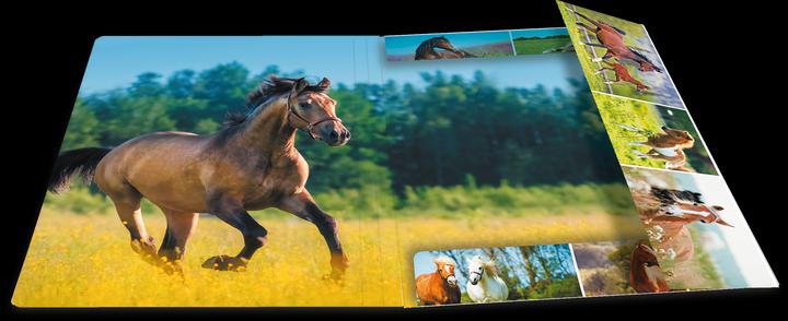 Image du produit HERMA Porte-documents A4 Motif (A4, 1 x)