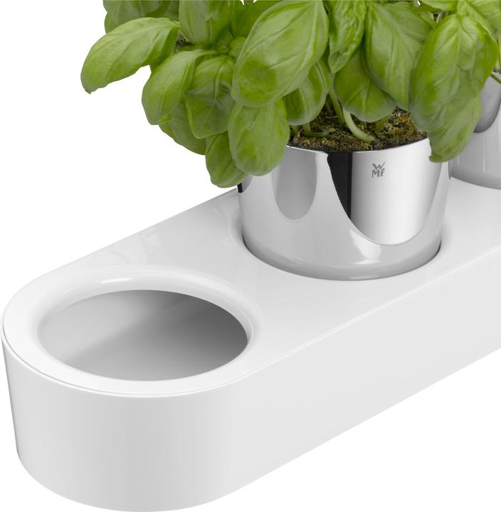 Image du produit WMF Jardin aromatique (14 cm)