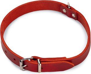 Immagine prodotto Karlie Collare Rondo, rivettato (L, Cane, Passeggiare)