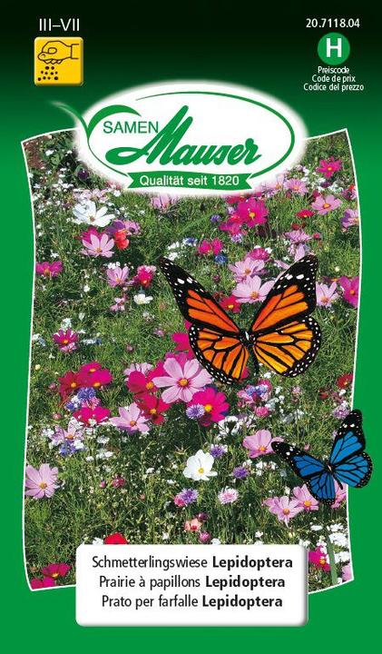 Actual product image Samen Mauser Butterfly meadow Lepidoptera (Lawn reseed)