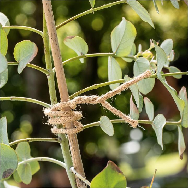 Actual product image Windhager Jute binding wire (1000 cm, 0.30 cm)