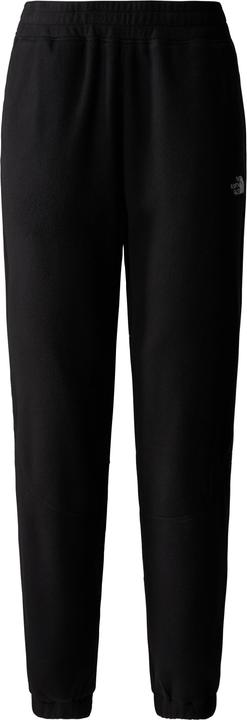 North Face 100 GLACIER JOGGER Jogginghose Damen (S)