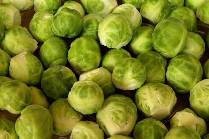 Produktbild Zollinger Bio Rosenkohl, Perfection du Pays (Samenbomben)