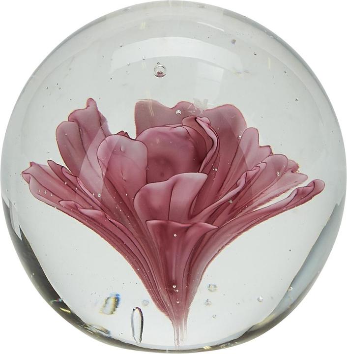 Miss Etoile Fleur