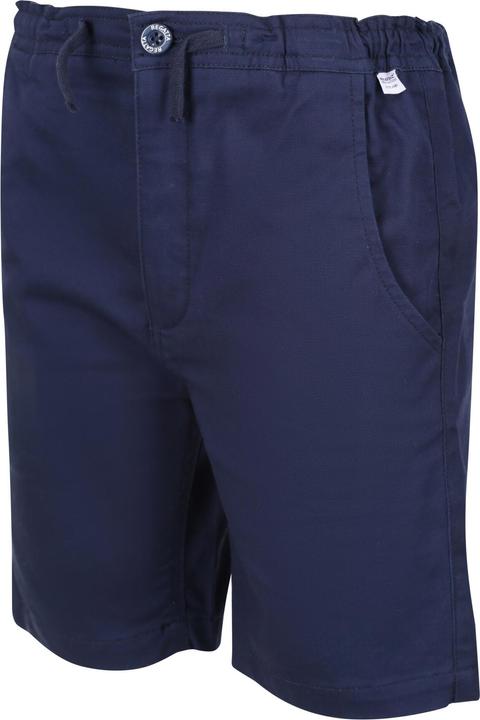 Actual product image Regatta Alber Shorts (146)
