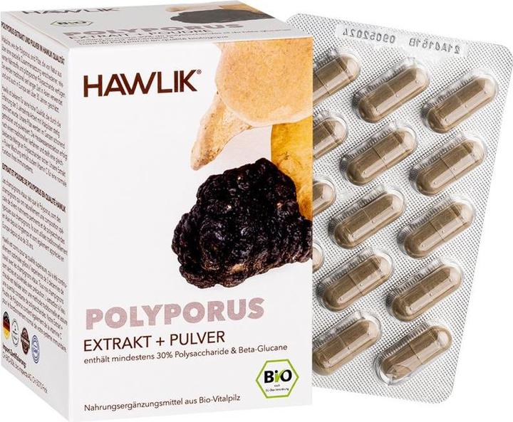 Actual product image Hawlik Polyporus extract + powder capsule (120 Piece, Capsules, 108 g)