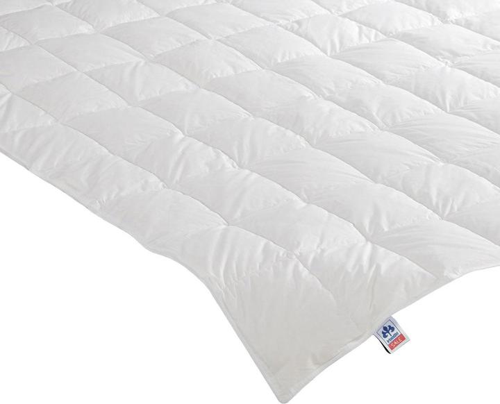 Produktbild Irisette Daunensteppbett Nora leicht (310 g, 155 x 220 cm)
