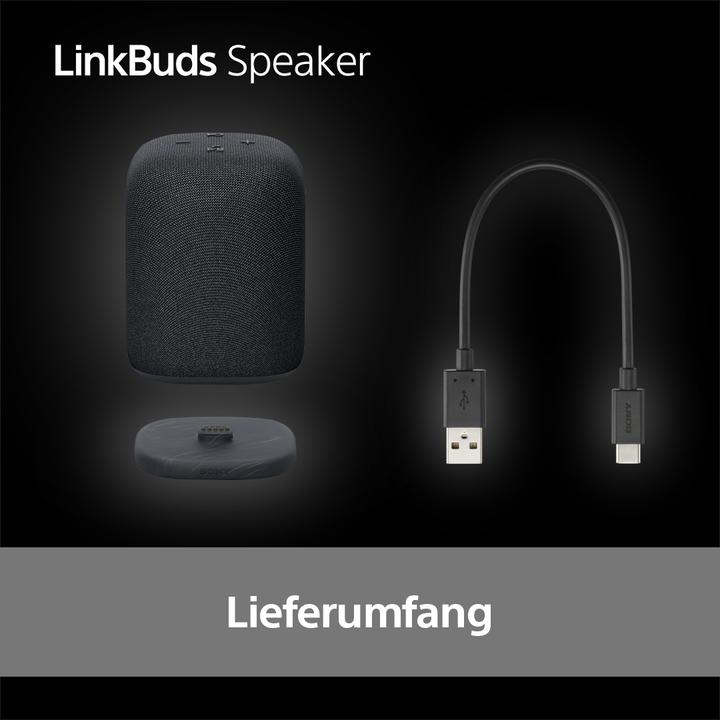 Productafbeelding Sony SRS-LS1 (25 h, Oplaadbare batterij)