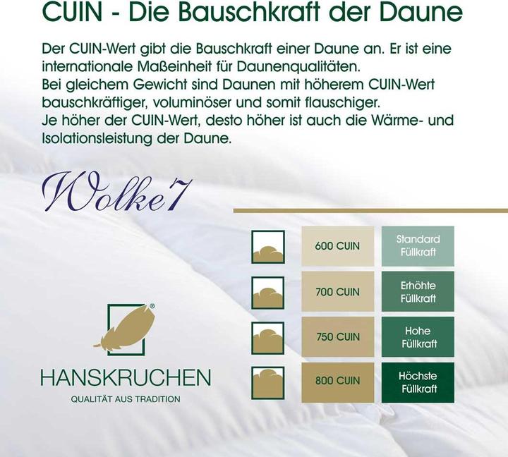 Actual product image Hanskruchen Wolke 7 (1.19 g, 200 x 200 cm)