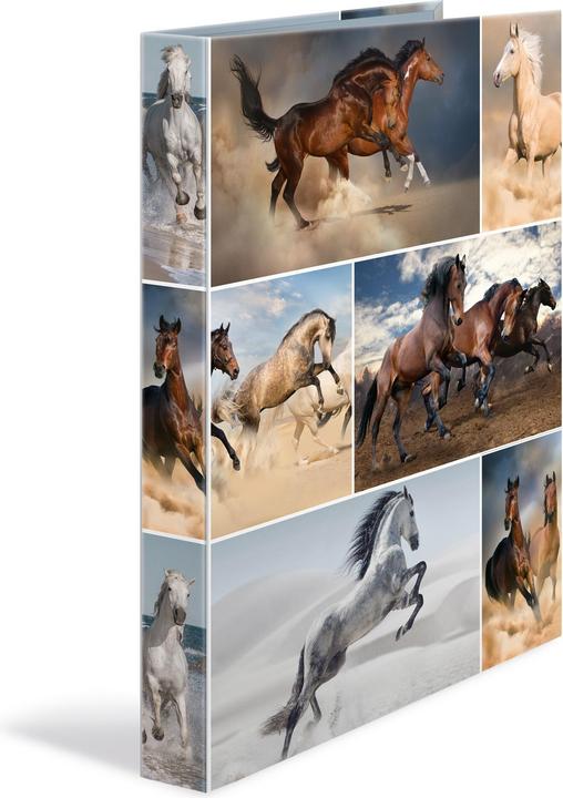 Actual product image HERMA A4 ring binder motif (A4, 35 mm, 1 Piece)