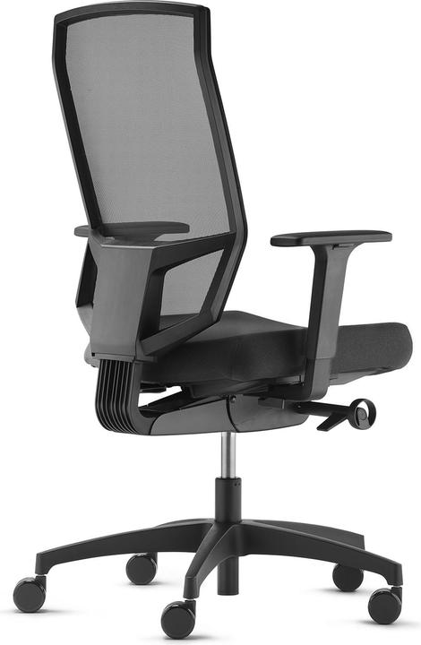 Actual product image Dauphin just Evo Mesh