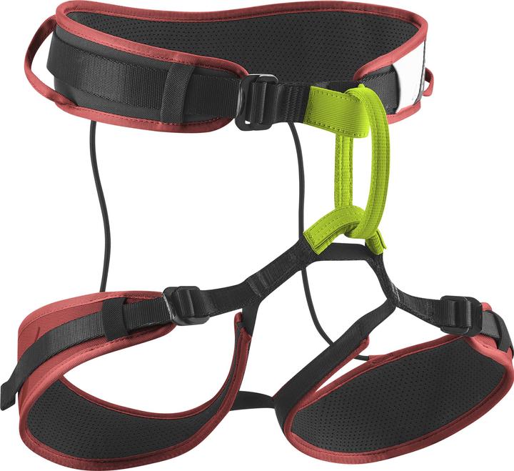 Produktbild Edelrid Zack Gym II Verleih-Klettergurt (XS)