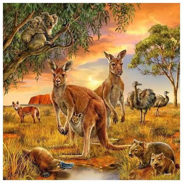 Produktbild Ravensburger Tiere der Erde (49 Teile)