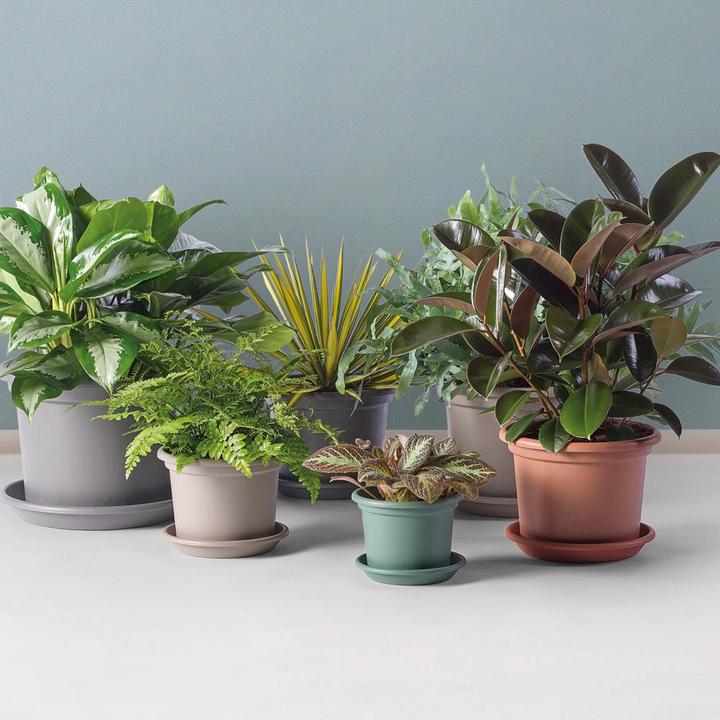 Productafbeelding Euro3plast Plantenbak (20 cm)