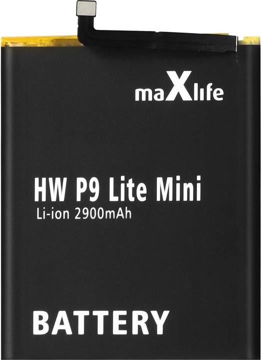 Maxlife 2900mAh Zusatzakku