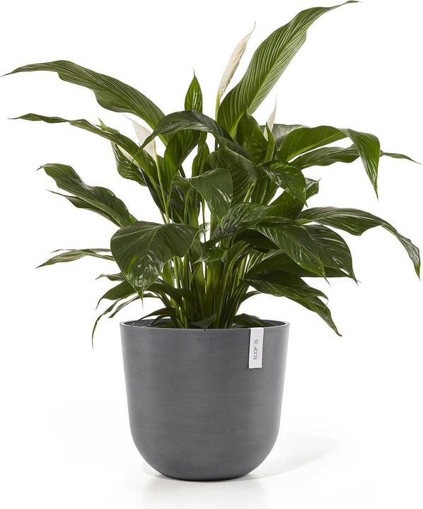 Immagine prodotto Ecopots Oslo (45 cm)